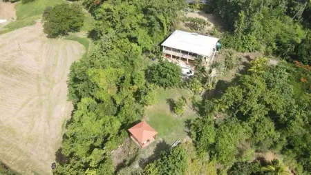 Appartement avec jardin et terrasse privés à Rivière-Pilote : photo 10