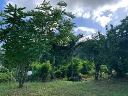 Appartement avec jardin et terrasse privés à Rivière-Pilote : photo 17