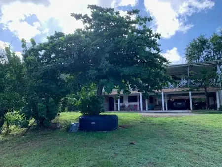 Appartement avec jardin et terrasse privés à Rivière-Pilote : photo 18