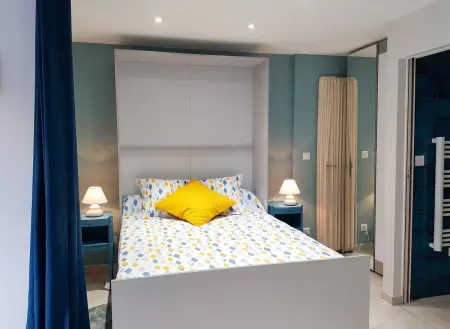 Studio 55 m² avec terrasse privée à Six-Fours-les-Plages : photo 3