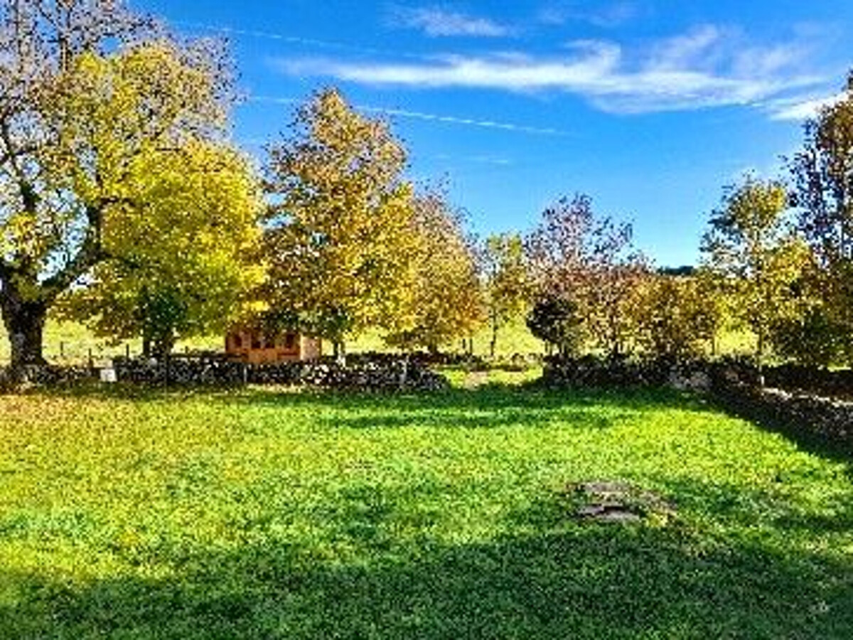 Gîte La Grande Prairie – Chaumière rénovée avec accueil équin - Photo 10