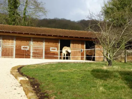 Maison confortable avec jardin à Talon - 90 m² - Photo 14