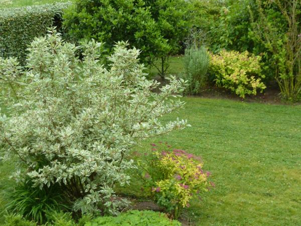 Maison en pierre 6 pers. – Cheminée, jardin clos et vélos - Photo 12