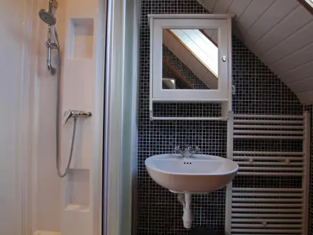 Gîte 15 pers., 6 chambres, piscine chauffée à Isigny-le-Buat : photo 13