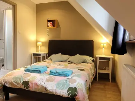Gîte 15 pers., 6 chambres, piscine chauffée à Isigny-le-Buat : photo 20