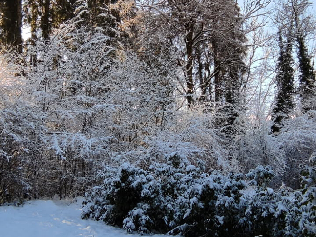 Appartement 30m² pour 5 à Samoëns, proche forêt - Photo 9