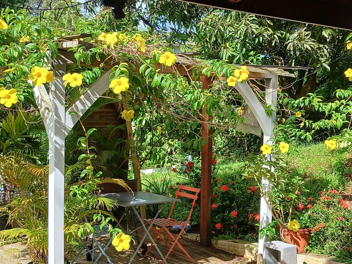 Appartement avec piscine privée à Sainte-Luce, Martinique - Photo 6