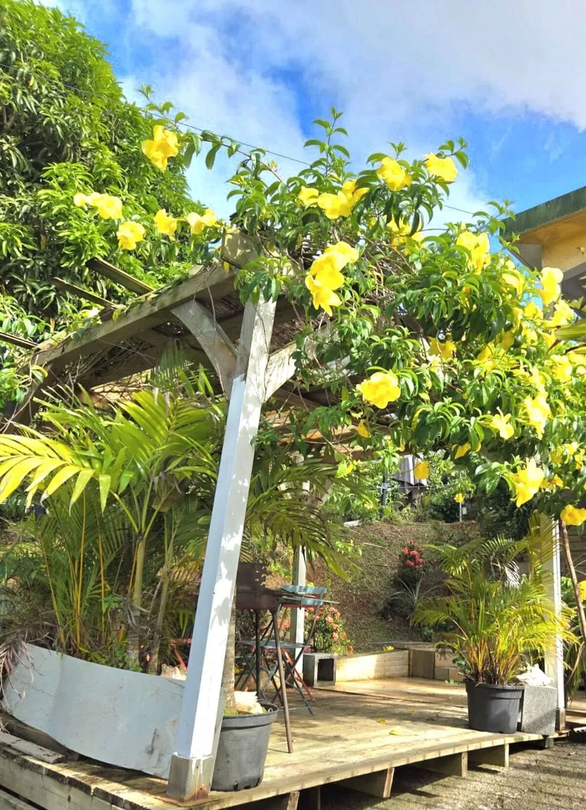Appartement avec piscine privée à Sainte-Luce, Martinique - Photo 19