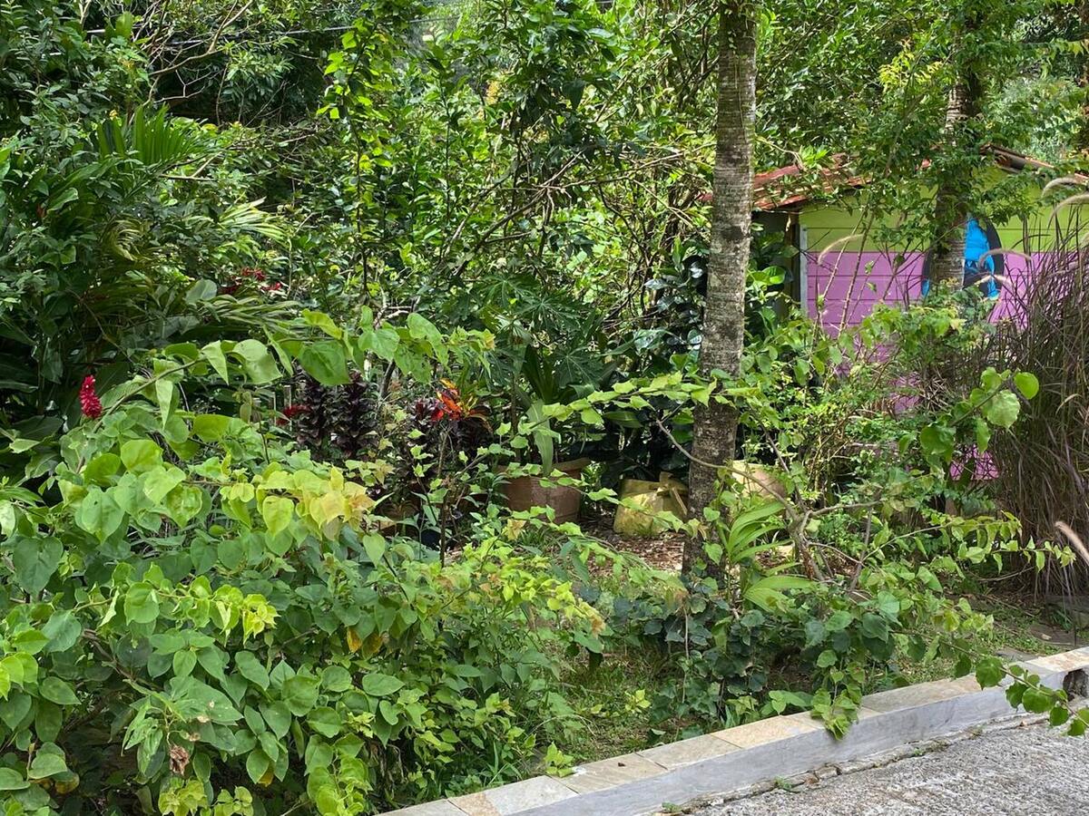 Appartement avec piscine privée à Sainte-Luce, Martinique - Photo 38