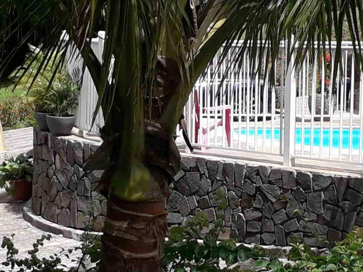 Appartement avec piscine privée à Sainte-Luce, Martinique - Photo 39