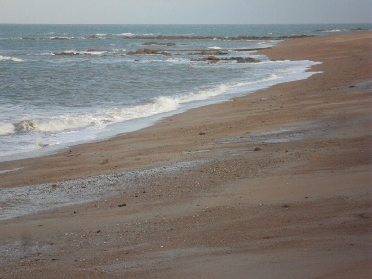 Maison typique Nord-Cotentin, 4 pers, animaux, 1 km mer - Photo 19