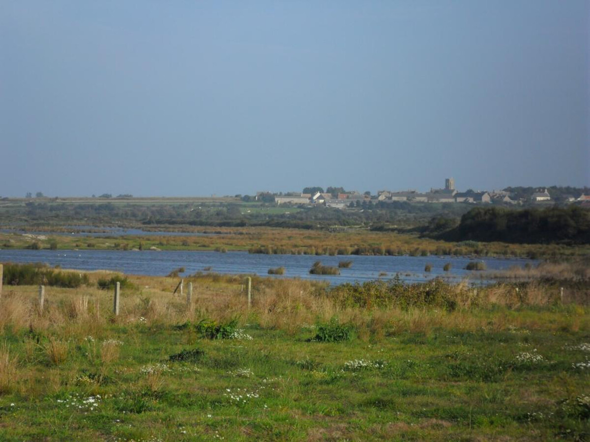 Maison typique Nord-Cotentin, 4 pers, animaux, 1 km mer - Photo 20
