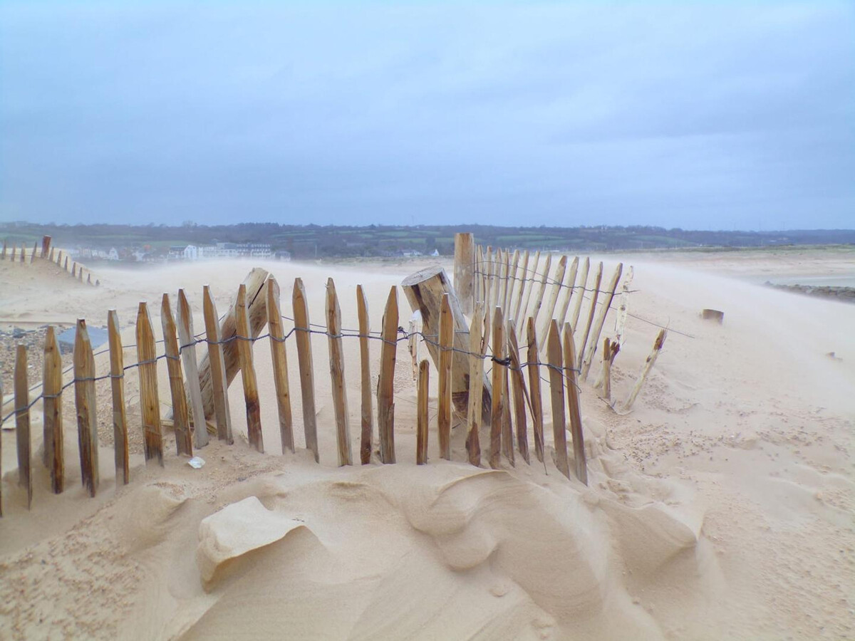 Gîte plain-pied avec accueil cavaliers à Bricqueville-sur-Mer - Photo 22