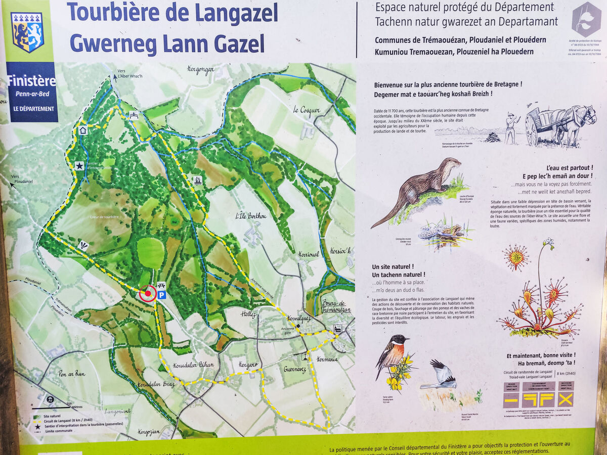 La Longère – Maison rénovée 4 pers. Ploudaniel - Photo 29