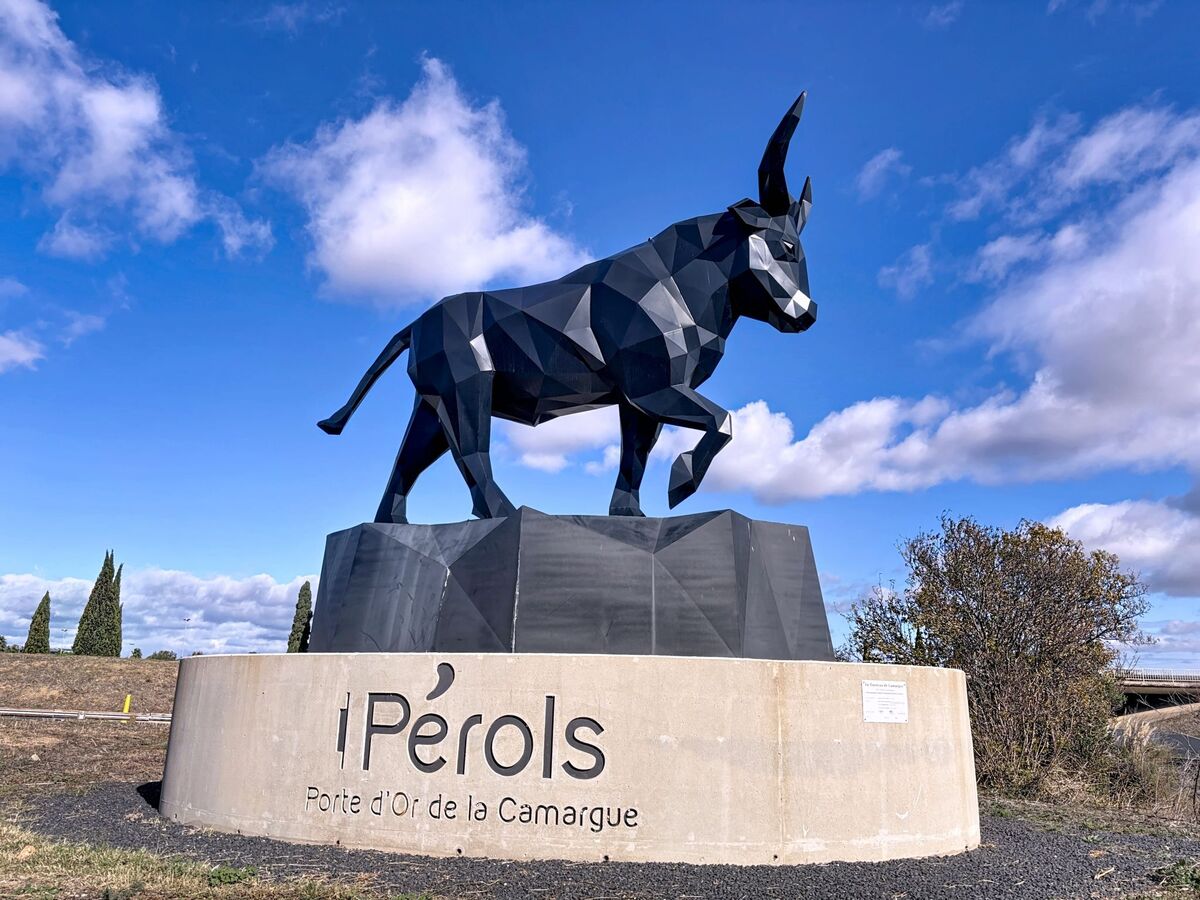 Les Cabanes de Pérols – Maison 104 m² vue étangs - Photo 41