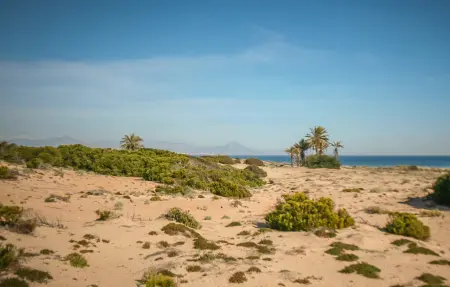 Maison 8 personnes à Santa Pola - Photo 31