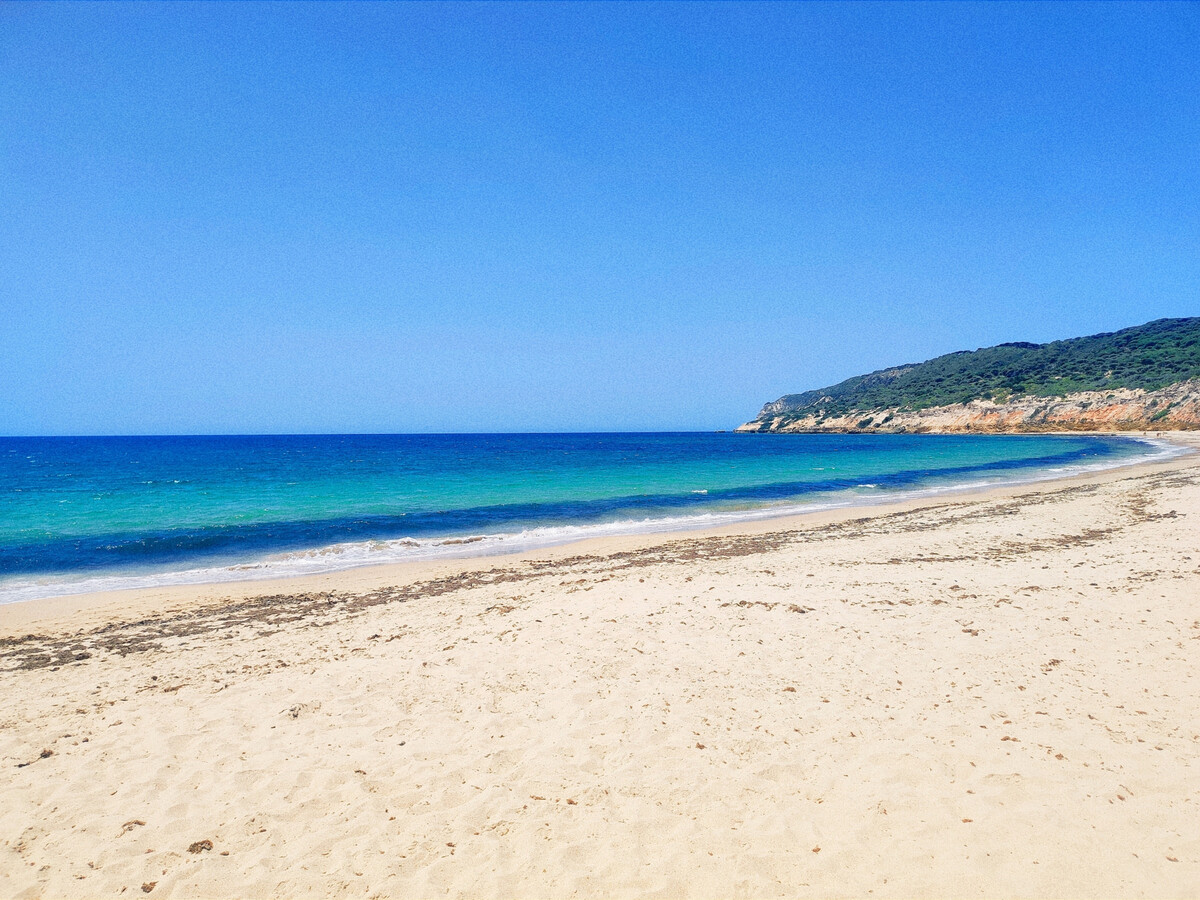 Appartement 2 chambres à Barbate, 7 min de la plage - Photo 1