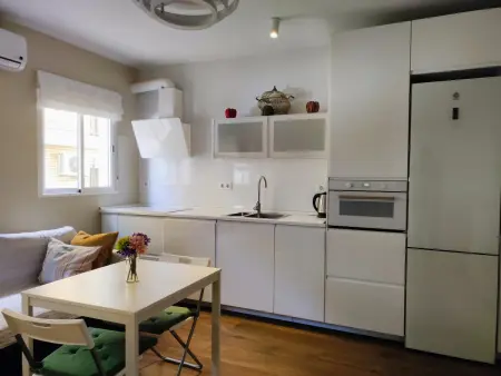 Appartement central Séville, 2 chambres avec garage - Photo 8