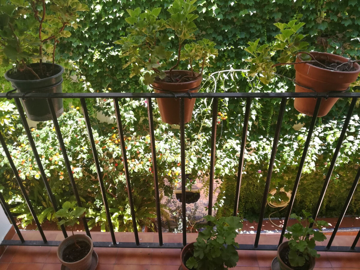 Appartement lumineux Santa Cruz, cœur de Séville - Photo 7