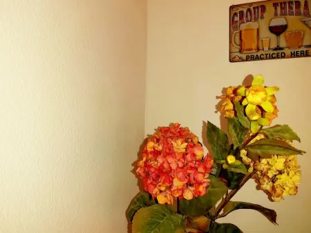 Duplex lumineux San Bernardo avec parking gratuit - Photo 10