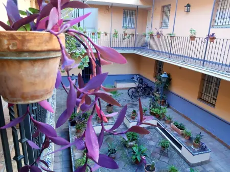 Duplex lumineux San Bernardo avec parking gratuit - Photo 21