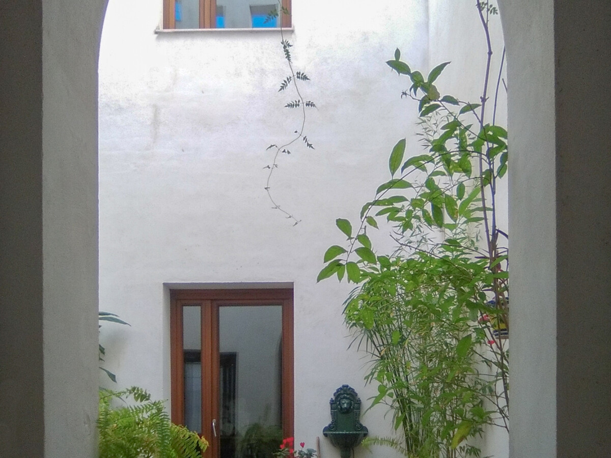 Appartement 4 chambres, patio et terrasses à Séville - Photo 3