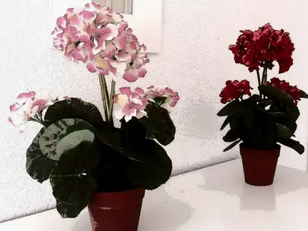 Appartement 3 personnes au cœur de Séville, climatisé - Photo 10