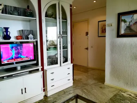Penthouse Séville : terrasse vue Giralda, 4 pers. : photo 8