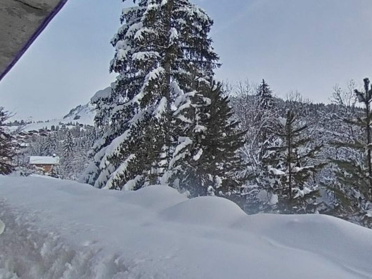 Appartement 6 pers au Grand-Bornand, 200m du skibus - Photo 20