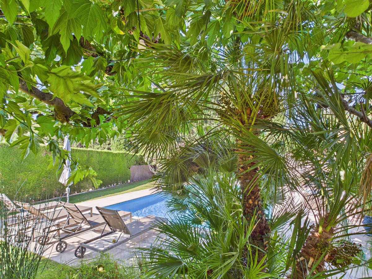 Mas provençal 8 pers., piscine 12x6m à Paradou - Photo 9