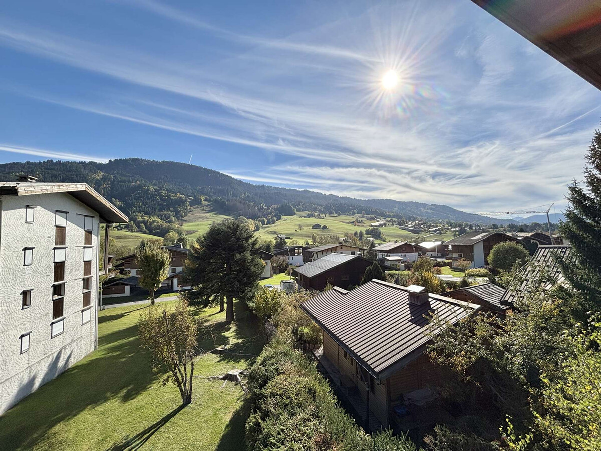 Appartement 3 pièces Praz-sur-Arly, 400 m des pistes - Photo 23