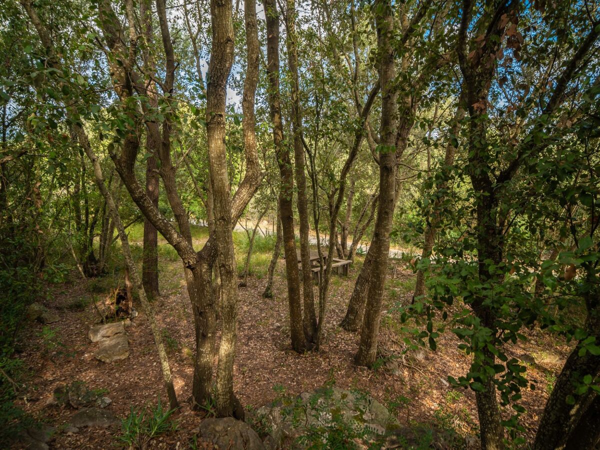 La Salve Can Jordi, maison 55 m² à Pollença - Photo 24