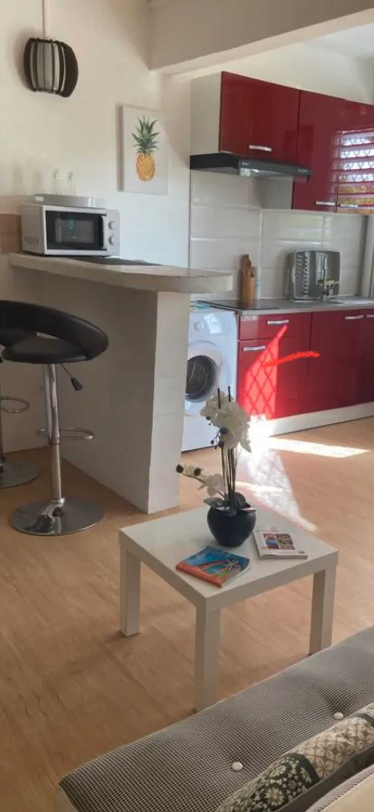Studio 25 m² avec terrasse privée aux Trois-Îlets - Photo 9