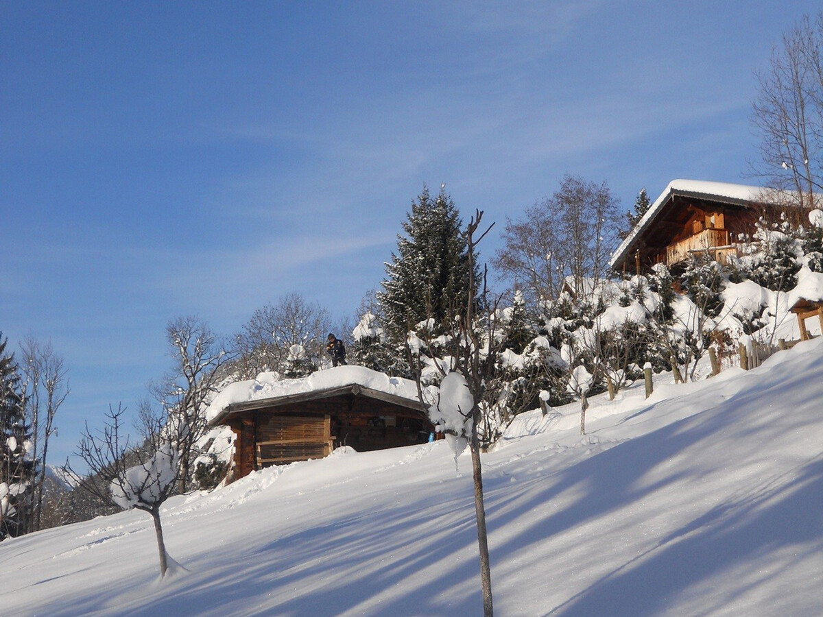 Chalet 6 pers aux Carroz, parking couvert et animaux OK - Photo 11