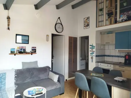 T2 mezzanine climatisé à Saint-Cyprien, parking privé, animaux admis : photo 3