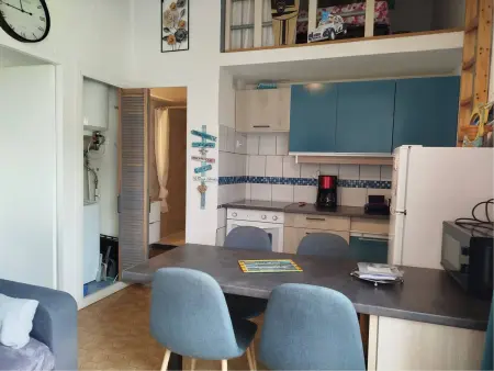 T2 mezzanine climatisé à Saint-Cyprien, parking privé, animaux admis : photo 6