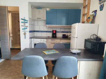 T2 mezzanine climatisé à Saint-Cyprien, parking privé, animaux admis : photo 7