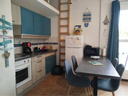 T2 mezzanine climatisé à Saint-Cyprien, parking privé, animaux admis : photo 9