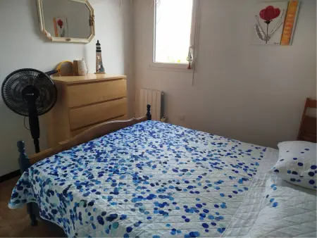 T2 mezzanine climatisé à Saint-Cyprien, parking privé, animaux admis : photo 16
