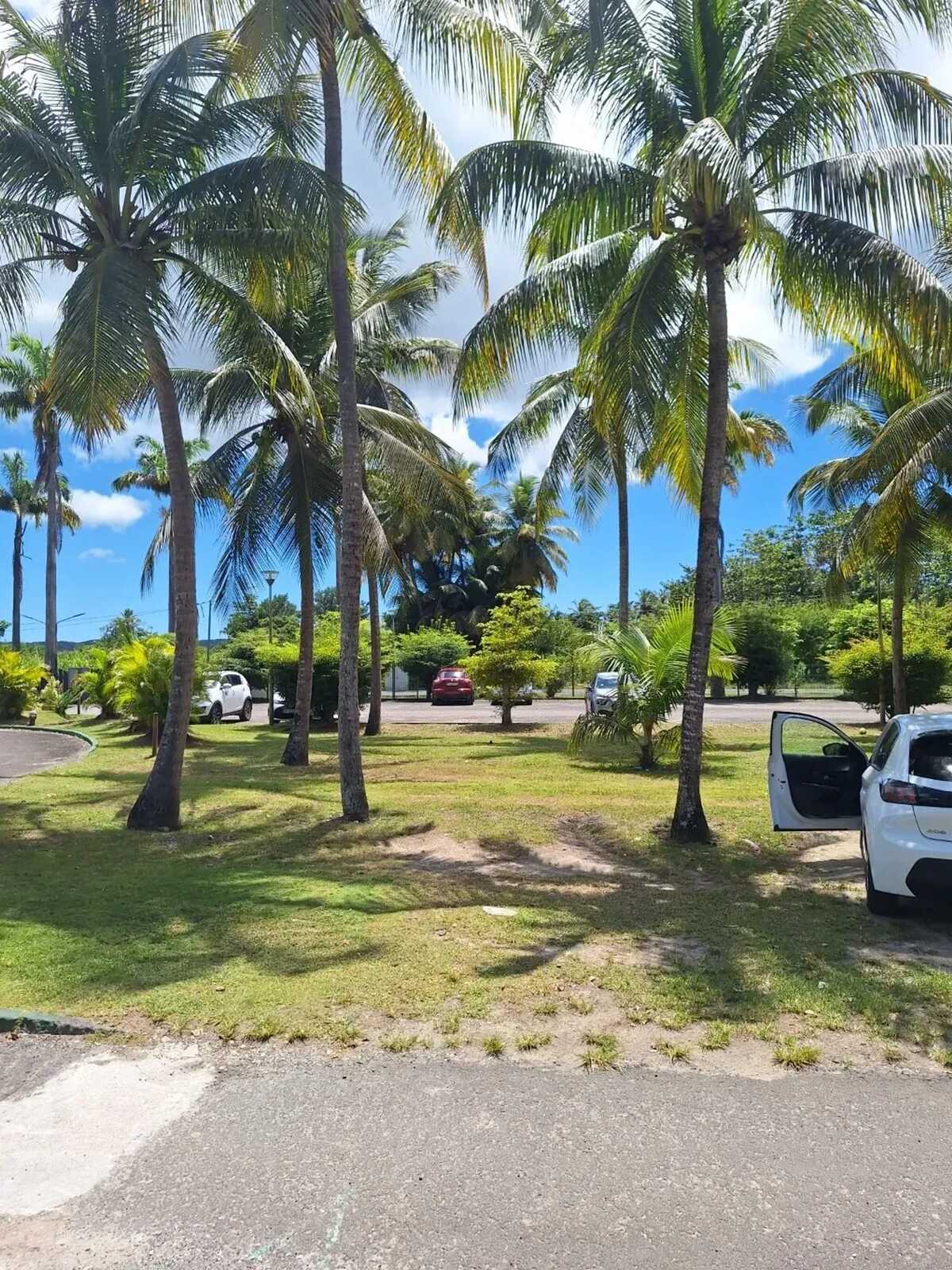 Maison 1 chambre avec accès plage direct à Grand-Bourg - Photo 11