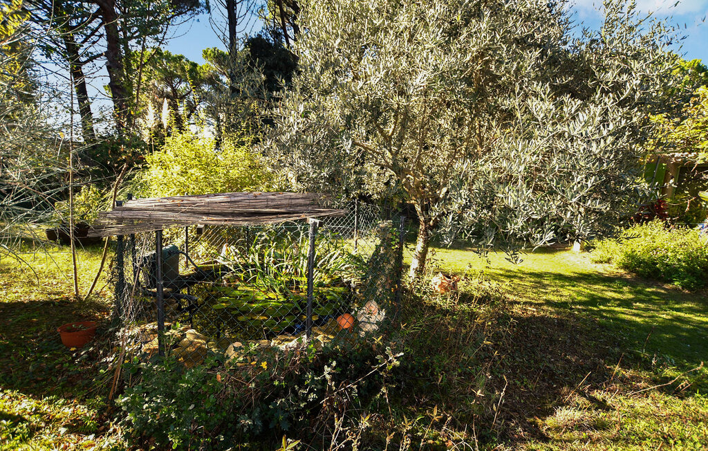 Maison Mondragon piscine privée 7 personnes - Photo 15