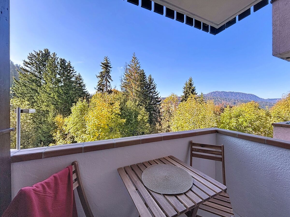 Studio 17 m² Bellevaux, balcon sud-ouest, vue montagnes - Photo 2