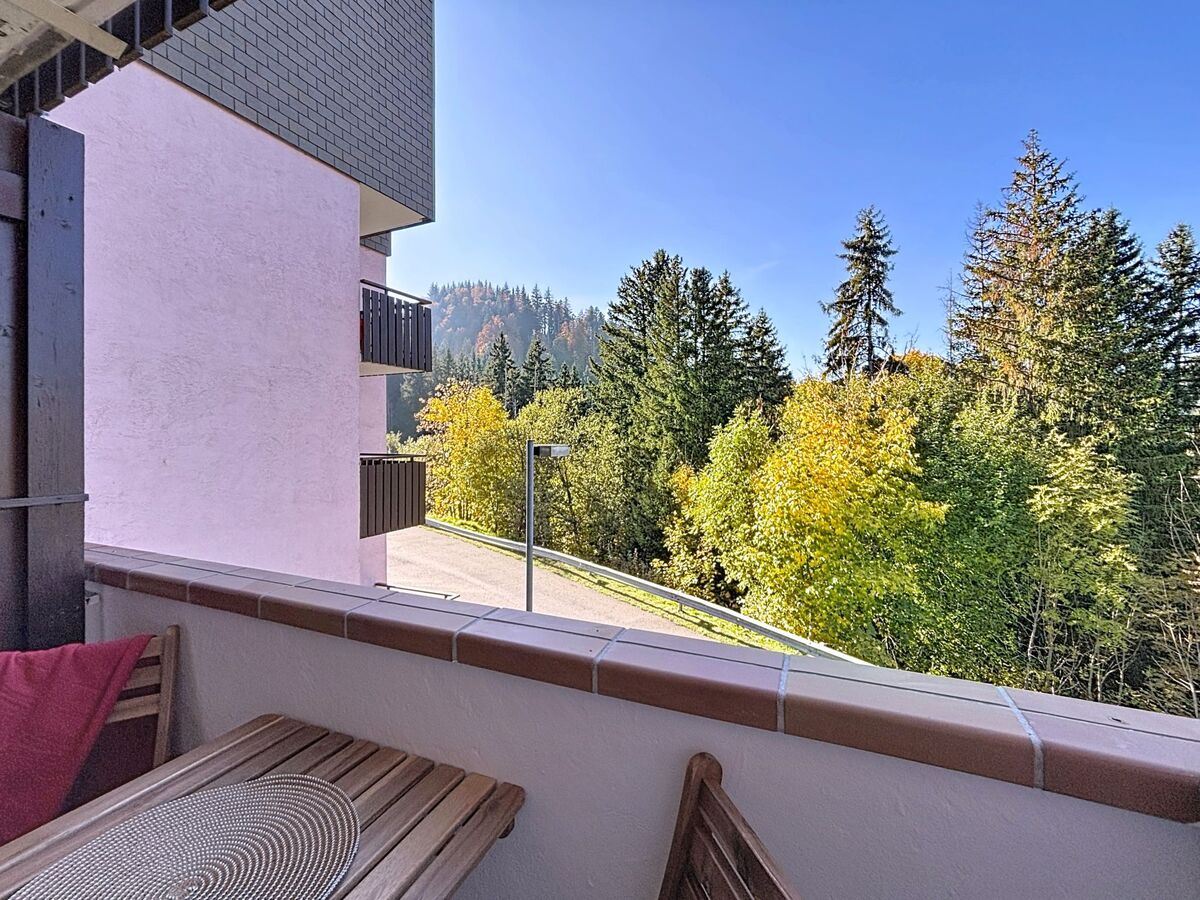 Studio 17 m² Bellevaux, balcon sud-ouest, vue montagnes - Photo 15