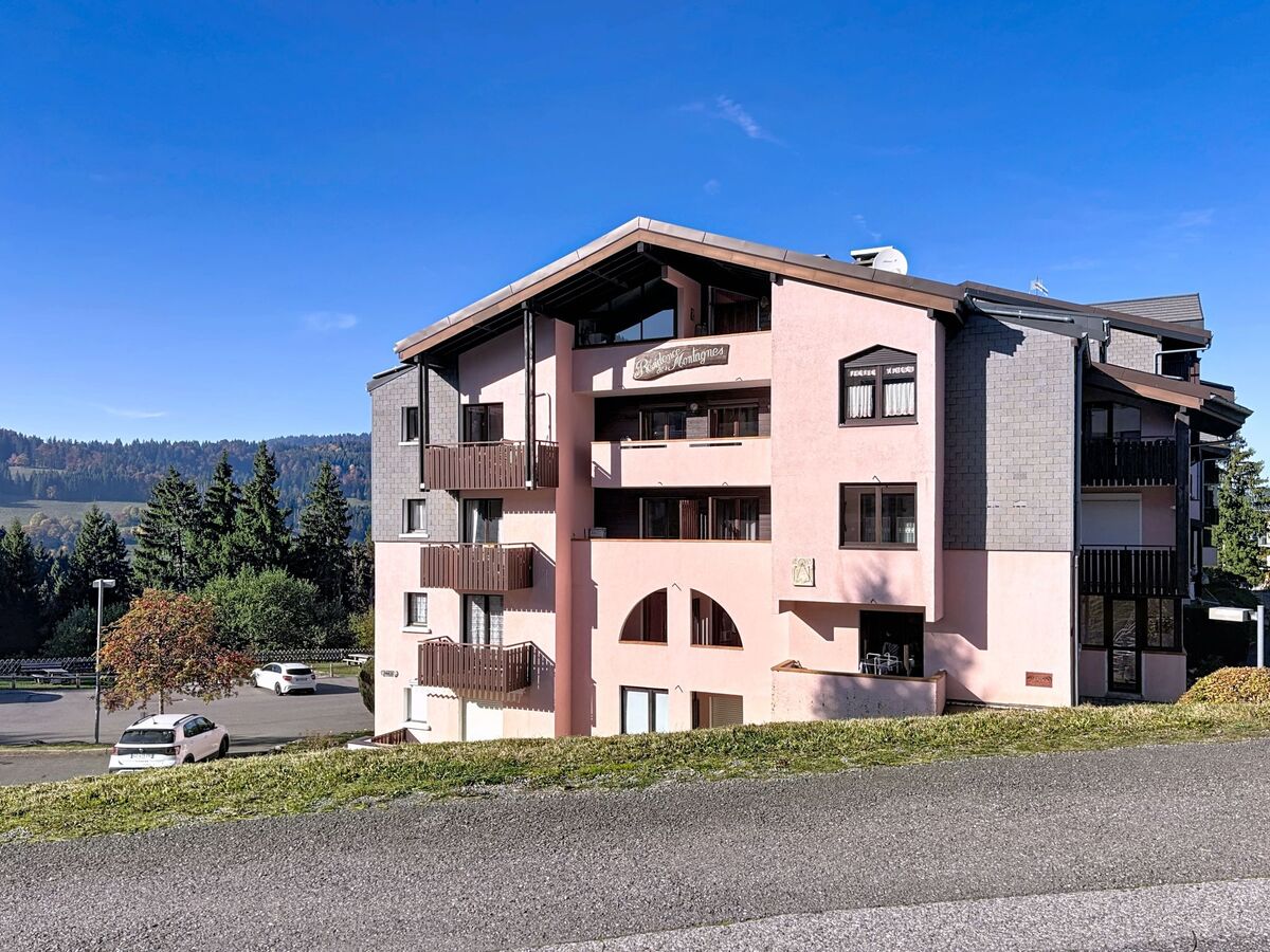 Studio 17 m² Bellevaux, balcon sud-ouest, vue montagnes - Photo 20