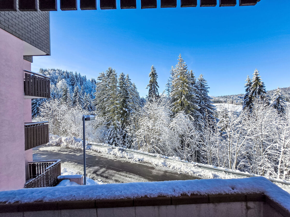 Studio 17 m² Bellevaux, balcon sud-ouest, vue montagnes - Photo 25