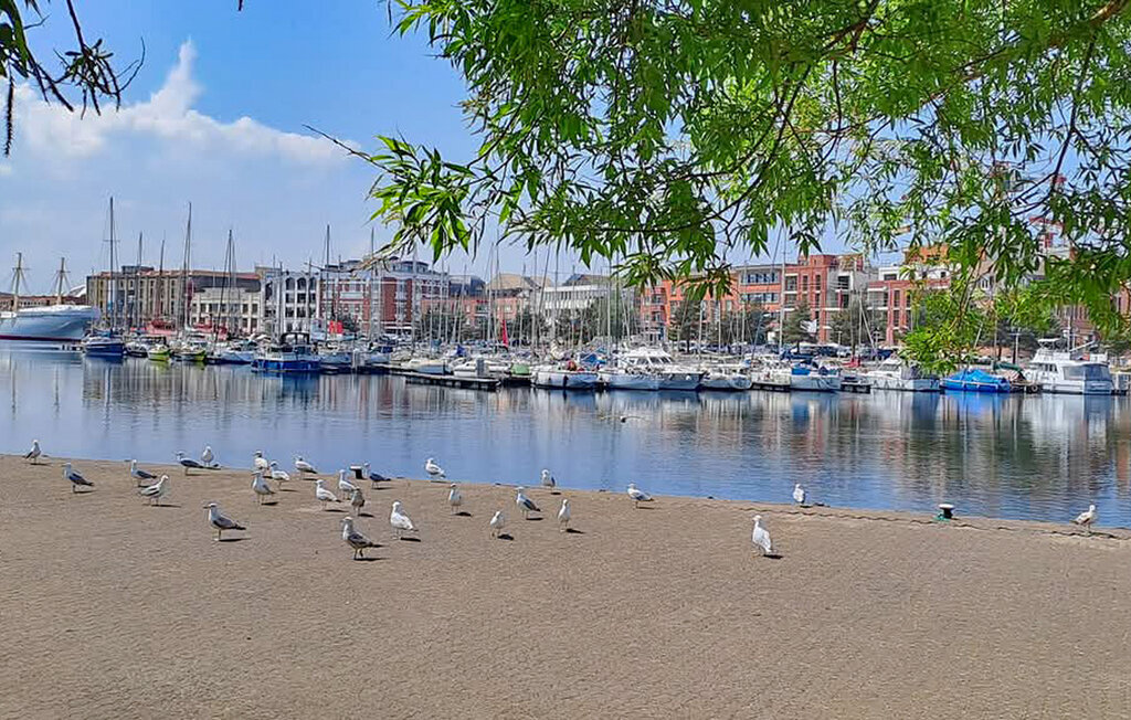 Studio 27 m² avec terrasse vue sur la ville à Dunkerque - Photo 30