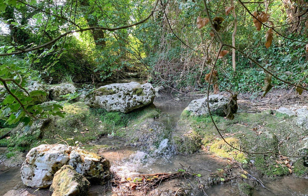 Maison pierre et poutres avec piscine à Monsac - Photo 14