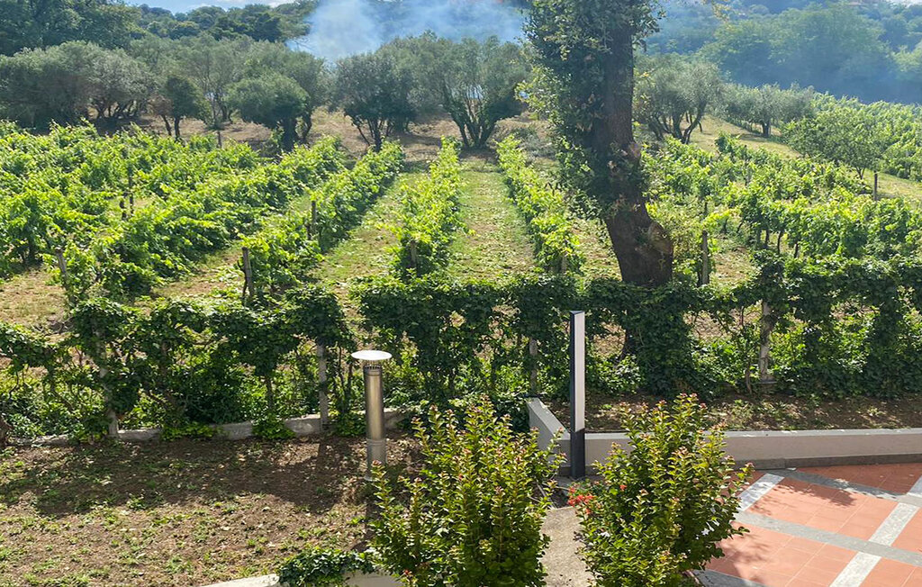 Maison 13 personnes à Montefiascone - Photo 15