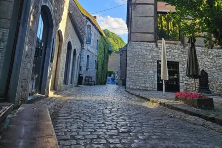 Le reflet de l'Ourthe – Maison 18 pers. avec sauna : photo 20