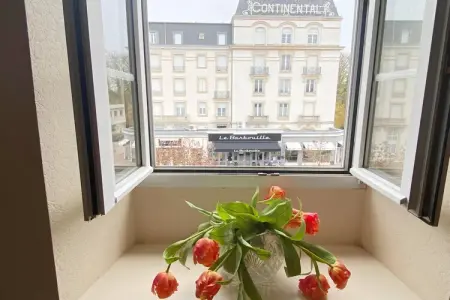 Pavillon Lorrain : maison de charme au cœur de Vittel : photo 22